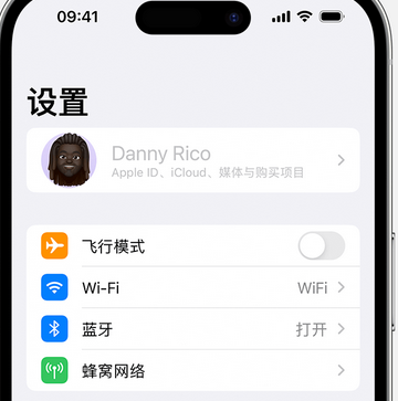 冠县appleID维修服务iPhone设置中Apple ID显示为灰色无法使用 