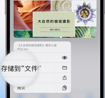 冠县apple维修中心分享iPhone文件应用中存储和找到下载文件