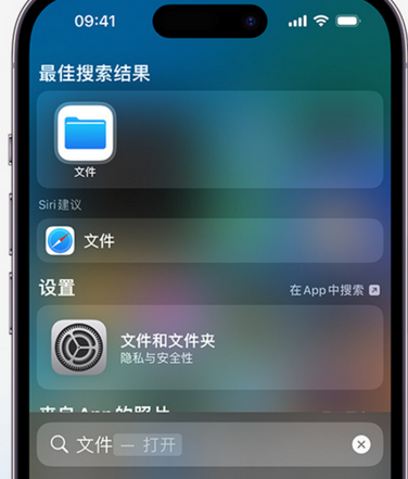 冠县apple维修中心分享iPhone文件应用中存储和找到下载文件