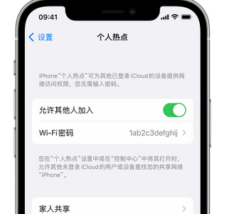 冠县apple服务站点分享iPhone上个人热点丢失了怎么办