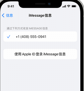 冠县apple维修iPhone上无法正常发送iMessage信息 