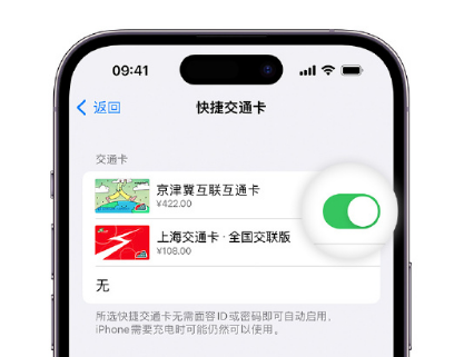 冠县apple维修点分享iPhone上更换Apple Pay快捷交通卡手绘卡面 