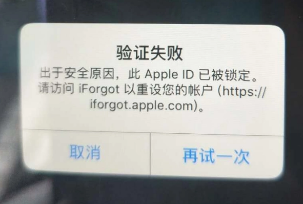 冠县iPhone维修分享iPhone上正常登录或使用AppleID怎么办 