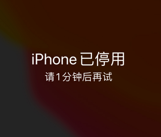 冠县苹果手机维修分享:iPhone 显示“不可用”或“已停用”怎么办？还能保留数据吗？ 