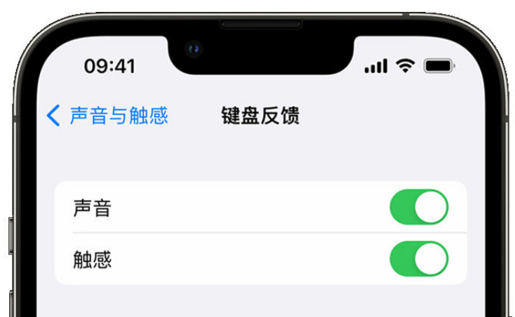 冠县苹果手机维修分享iPhone 14触感键盘使用方法 