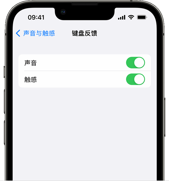 冠县苹果14维修店分享如何在 iPhone 14 机型中使用触感键盘 