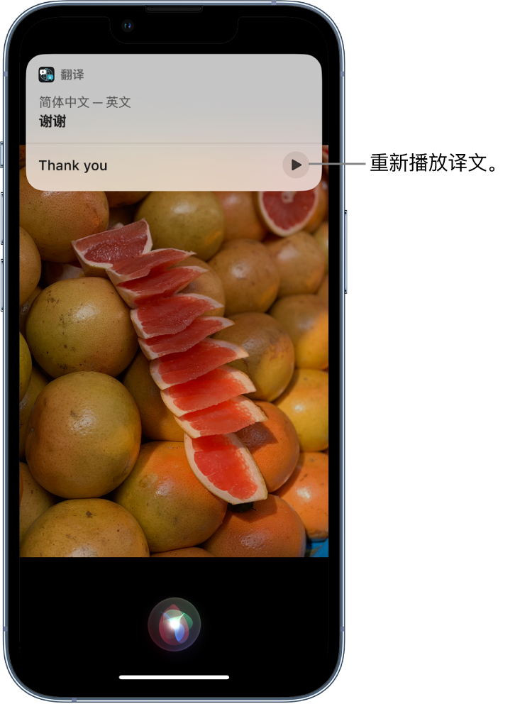 冠县苹果14维修分享 iPhone 14 机型中使用 Siri：了解 Siri 能帮你做什么 