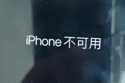 冠县苹果服务网点分享锁屏界面显示“iPhone 不可用”如何解决 