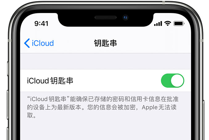 冠县苹果手机维修分享在 iPhone 上开启 iCloud 钥匙串之后会储存哪些信息 