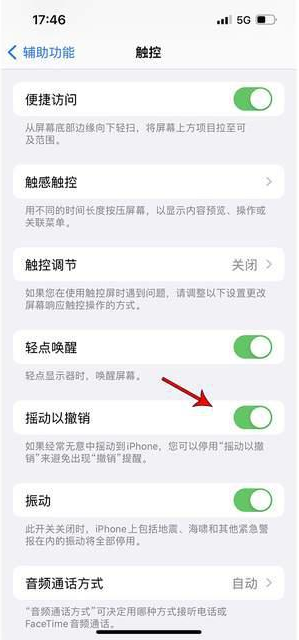 冠县苹果手机维修分享iPhone手机如何设置摇一摇删除文字 