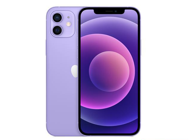 冠县苹果手机维修分享现阶段要不要入手紫色版iPhone12 